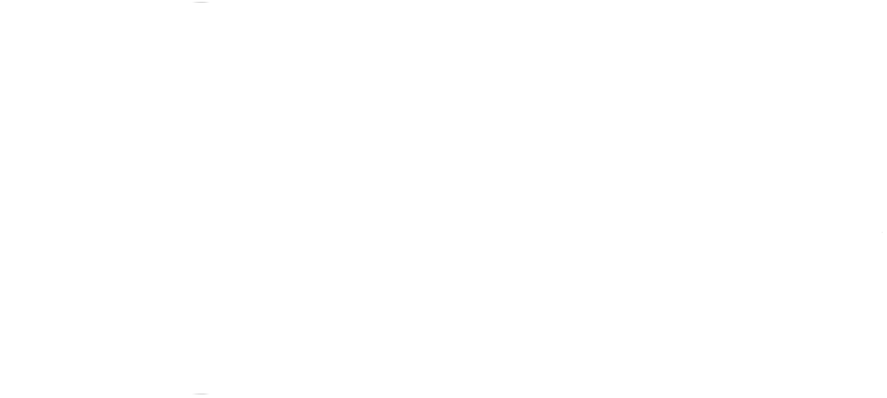 Euphoria